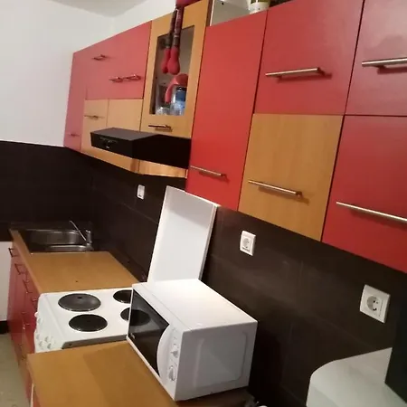 Apartamento Ripanj *